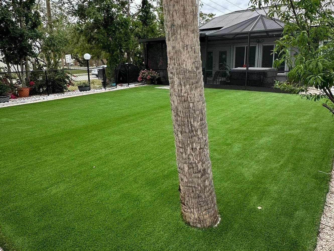 Front lawn of artificial turf under a large shade tree, installed by ProTurf Solutions