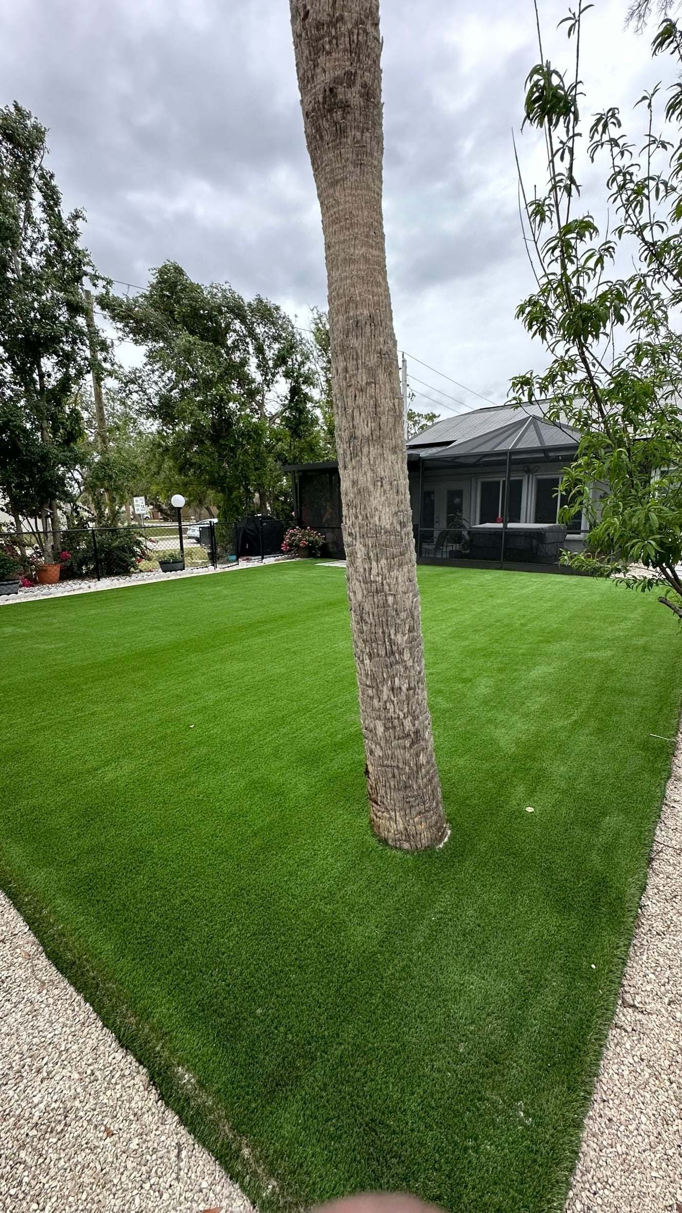 Front lawn of artificial turf under a large shade tree, installed by ProTurf Solutions