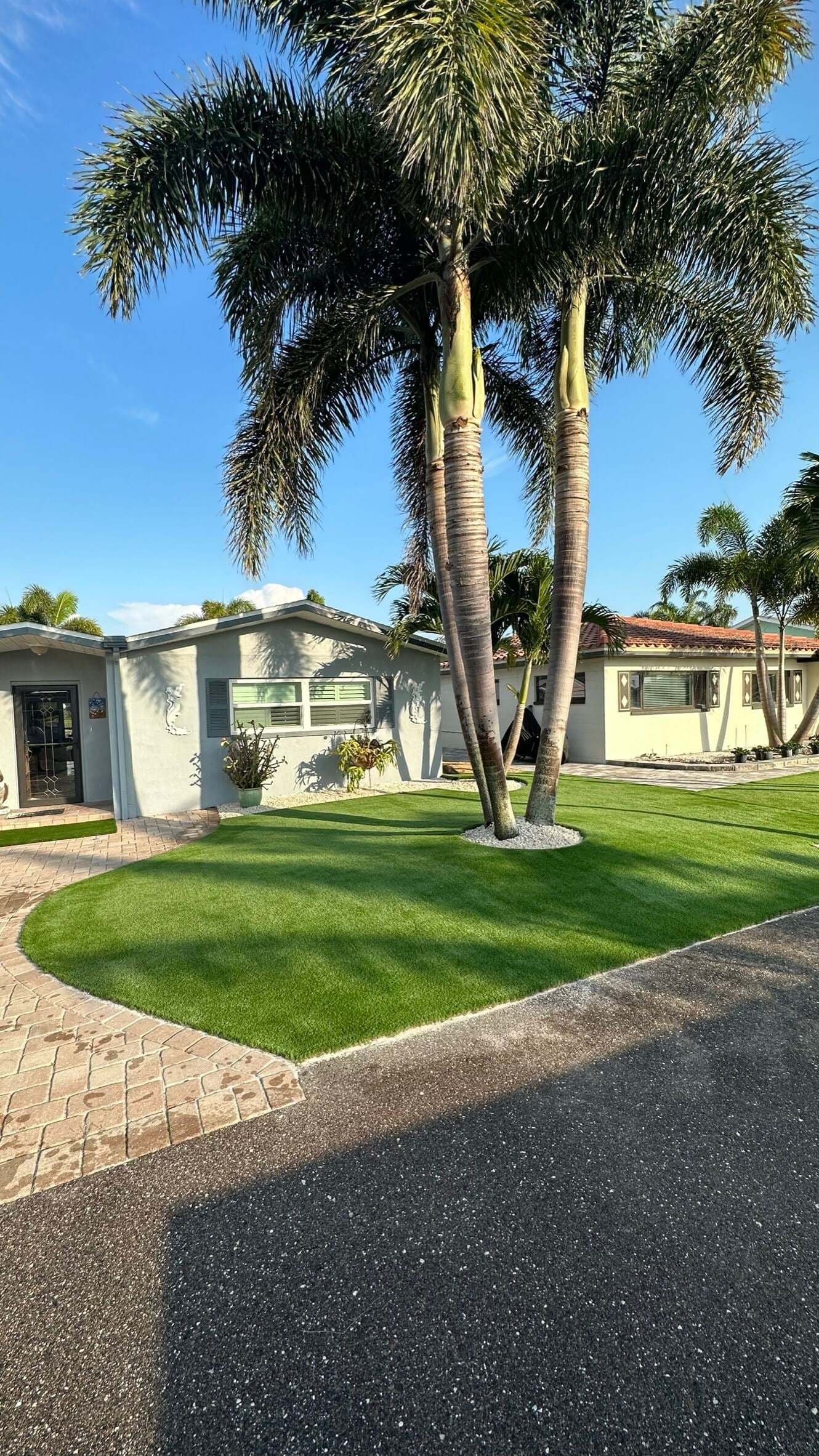 Front yard artificial turf with a stone ring around a palm tree, installed by ProTurf Solutions