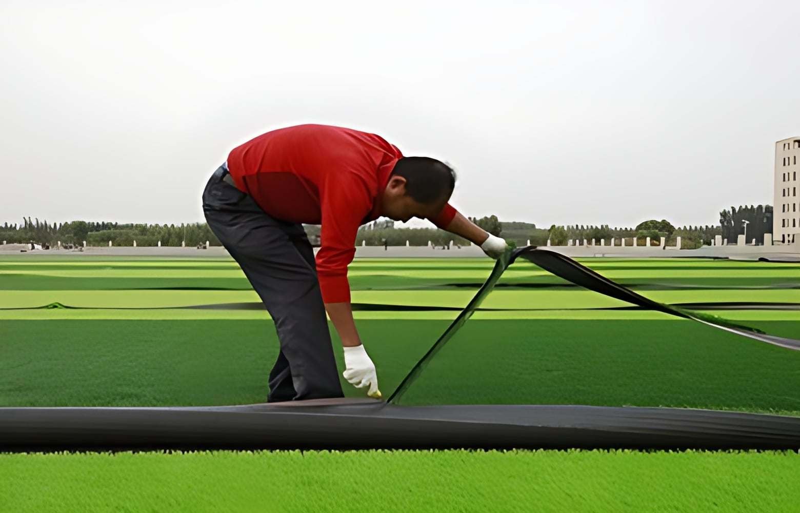 Installer rolling out a new section of artificial turf
